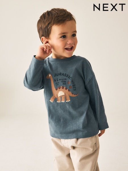 Grey Dino Jurassic Vibes - Long Sleeve Graphic T-shirt (3mths-7yrs)