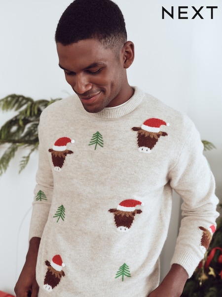 Neutrale Farbe - Regular Hamish Matching Family Christmas Jumper