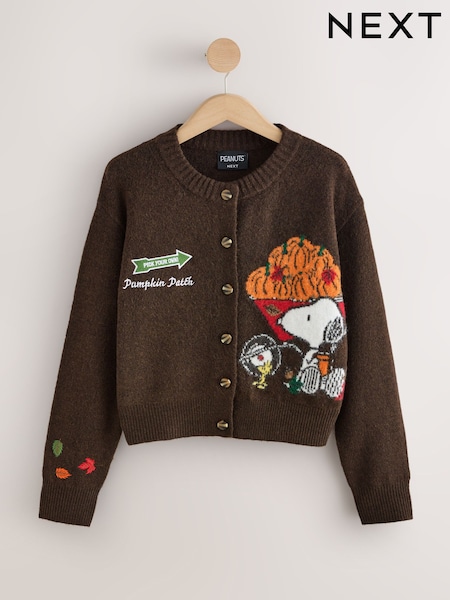 Brown - Peanuts Snoopy License Long Sleeve Knitted Crew Neck Jumper With Wool