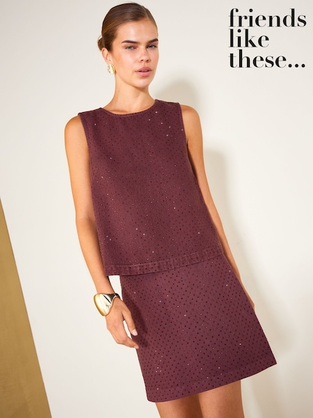 Burgundy Red - Friends Like These Premium Embellished A Line Denim Mini Skirt
