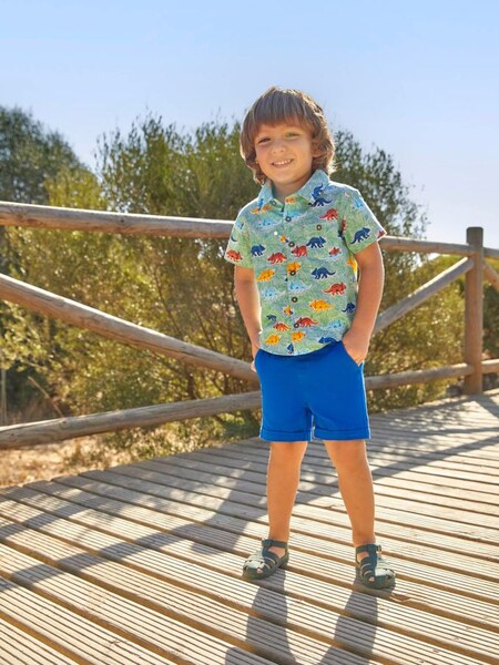 Green Boys' Dinosaur Print Shirt (307259) | £10