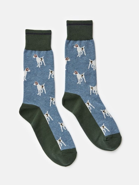 Blue/Green Ankle Socks (373562) | £7.95