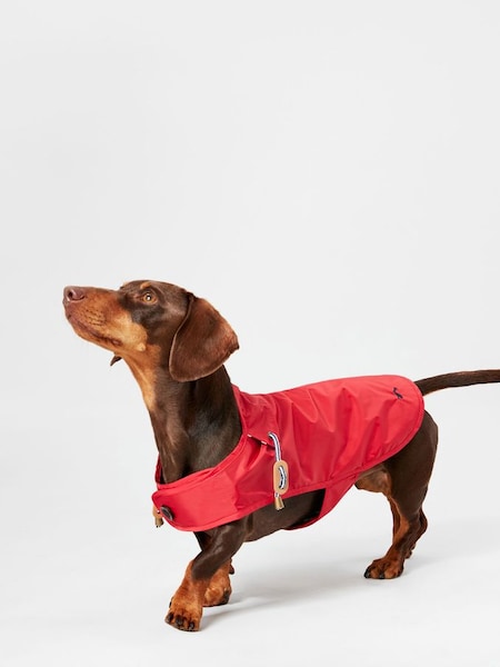 Red Dog Raincoat (521659) | £18 - £35