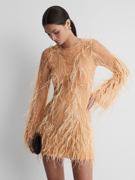 Rachel Gilbert Embellished Feather Mini Dress in Blush (562269) | £1,495
