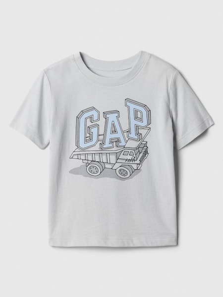 Grey Graphic Short Sleeve Crew Neck T-Shirt (Newborn-5yrs) (574111) | £8