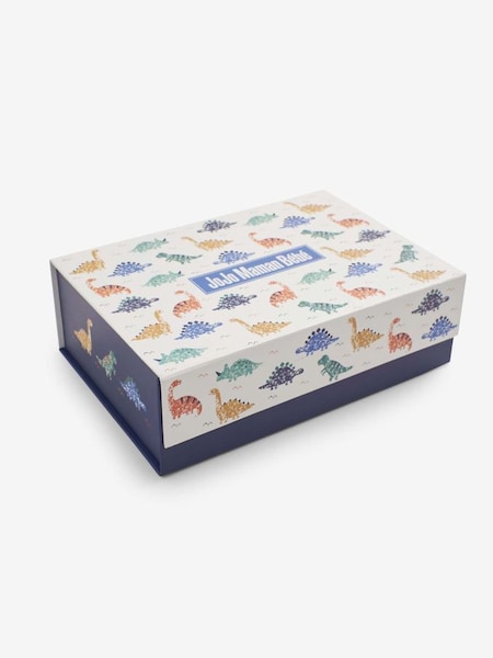 Dino Gift Box (595428) | £3.50