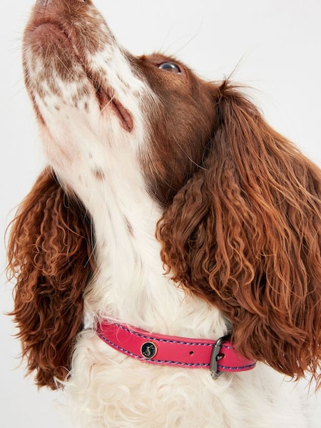 Pink Adjustable Leather Dog Collar (645643) | £14 - £18