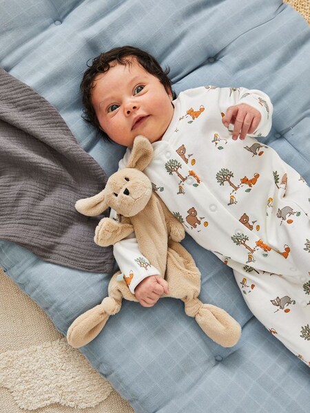 Dog Comforter (670791) | £14