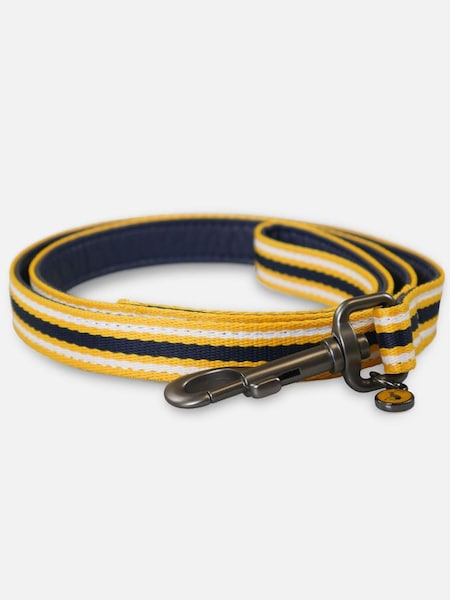 Multi Coastal Stripe Dog Lead (674959) | £9