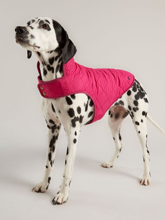 Joules dog best sale coats uk
