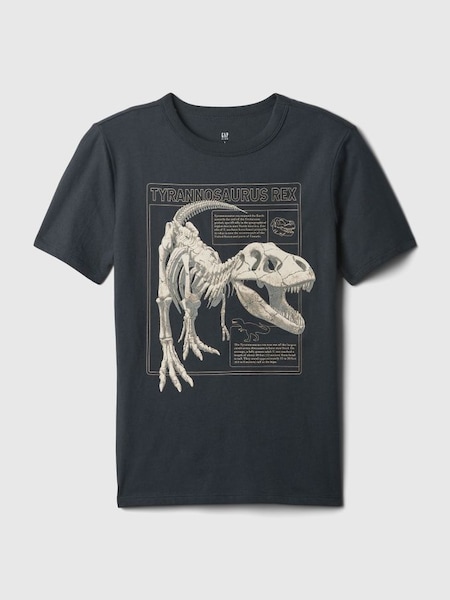 Black Dino Graphic Crew Neck Short Sleeve T-Shirt (4-13yrs) (870902) | £10