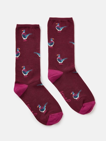 Purple Pheasant Excellent Everyday Single Ankle Socks (953713) | £7.95