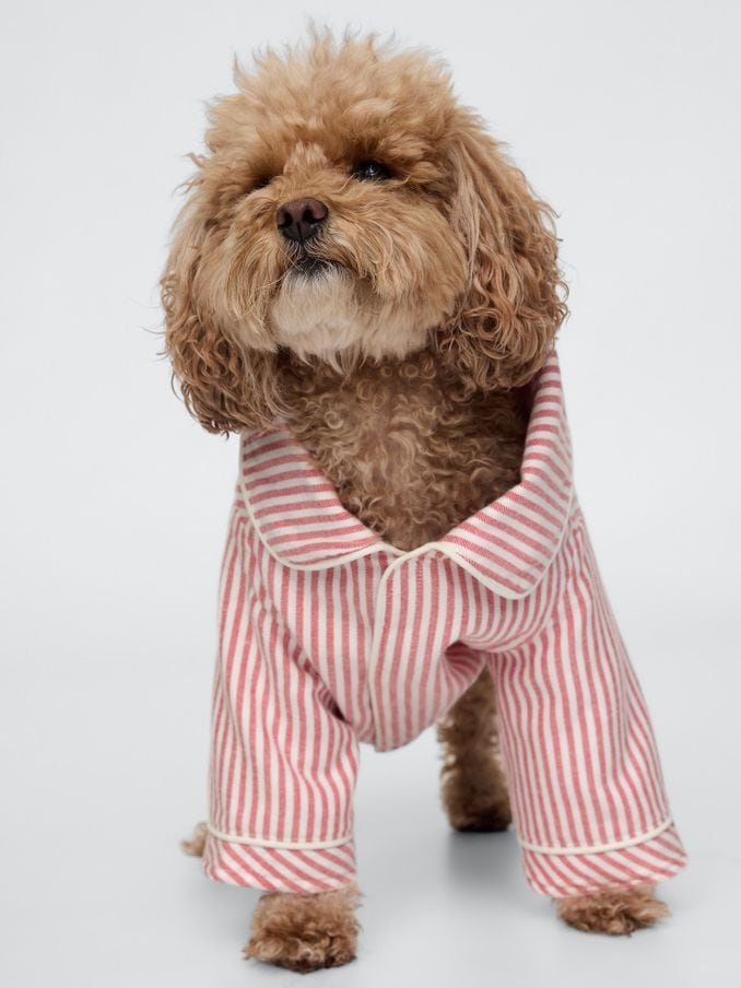 Gap dog pyjamas deals