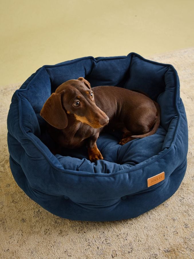 Dog Beds Patterned Dog Beds Joules