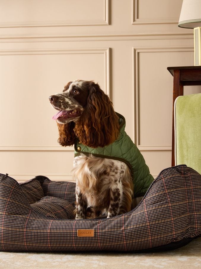 Joules par tea dog bed online