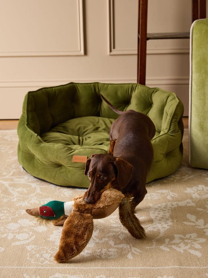 Dog Beds Patterned Dog Beds Joules