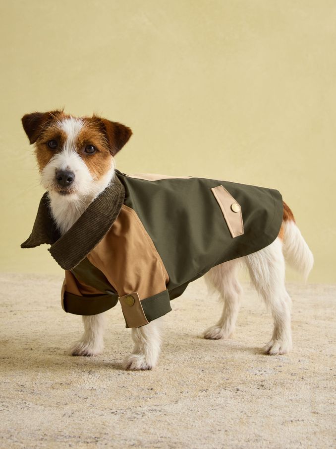 Joules horse coat sale