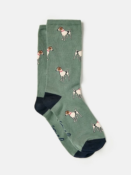 Green Dog Excellent Everyday Single Ankle Socks (C86932) | £7.95