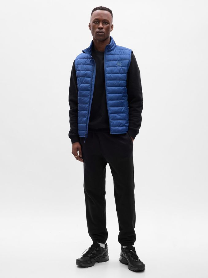 Men's sleeveless puffer jacket hotsell