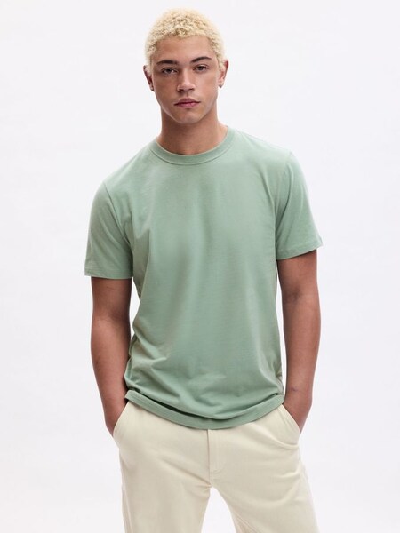 Pistachio Green Everyday Soft Short Sleeve Crew Neck T-Shirt (K75223) | £10