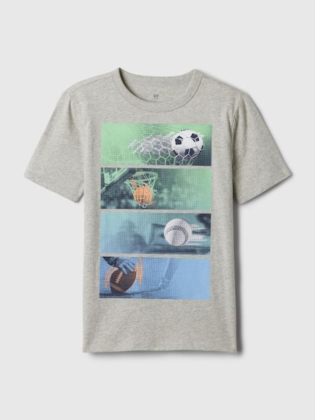 Grey Graphic Short Sleeve Crew Neck T-Shirt (4-13yrs) (K75369) | £10