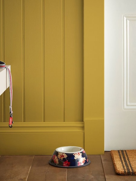 Brolley Yellow Multi Surface Matt Emulsion (N43635) | £46