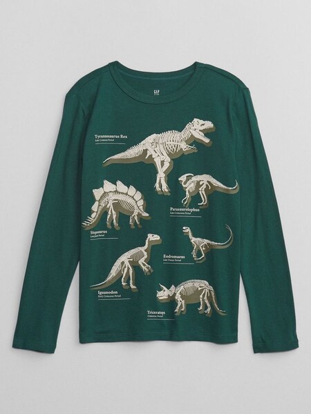 Brown Long-Sleeve Graphic T-Shirt (Q28315) | £10