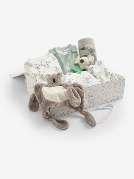 Premium New Baby Koala Gift Set in White (Q45462) | £135