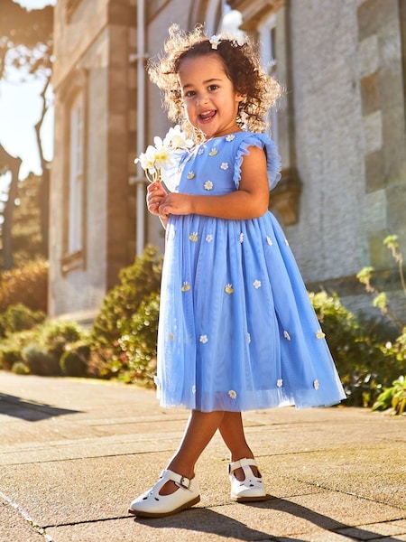 Cornflower Daisy & Bee Embroidered Tulle Party Dress (Q82941) | £36