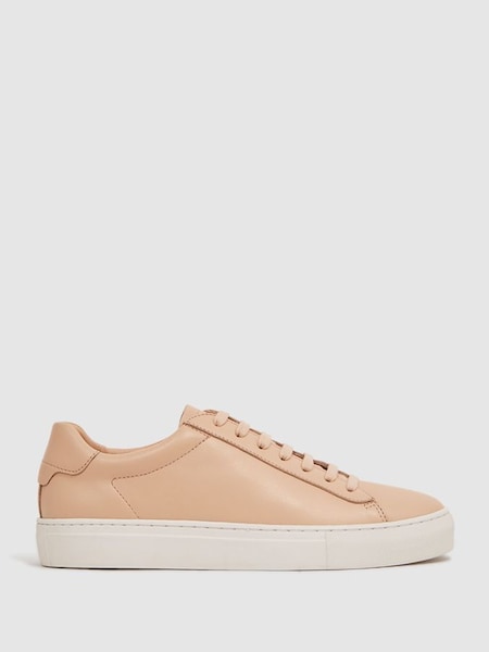 Lace-Up Leather Trainers in Biscuit (290973) | $124