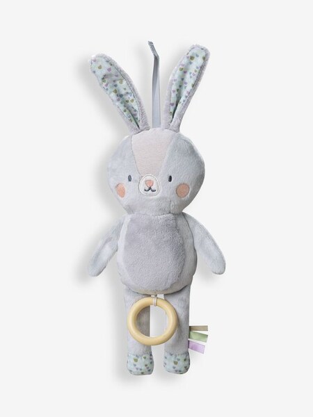 Taf Toys Rylee Musical Bunny (411836) | €15.50