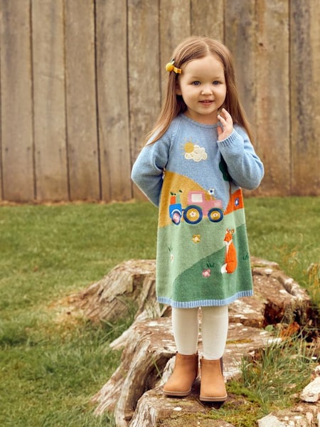 Blue Girls' Farm Scene Knitted Dress (572572) | $24
