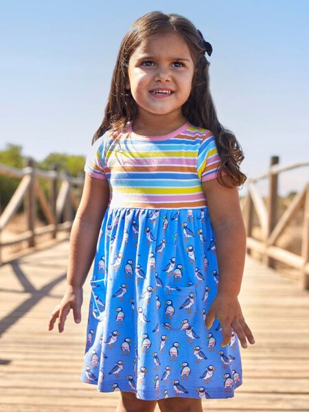 Multi Coloured Stripe & Puffin Print With Pet In Pocket Combo Dress in Cornflower (736257) | $21