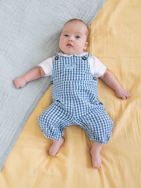 2-Piece Gingham Whale Embroidered Dungarees & Collar Body Set in Navy (738339) | €36.50