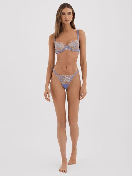 Bluebella Sheer Embroidered Thong in Hydrangea Blue (796044) | $30
