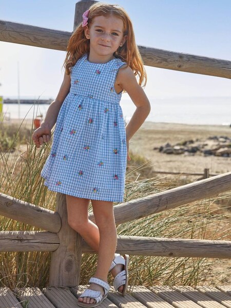 Blue Gingham Floral Embroidered Dress (993747) | $19