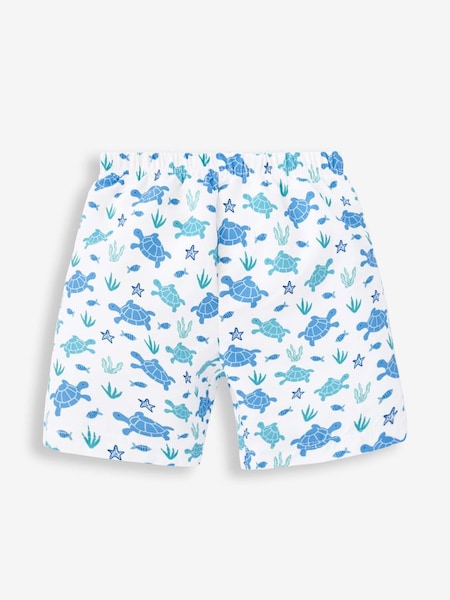 Blue Turtle Swim Shorts with Integral Nappy (D18275) | €19