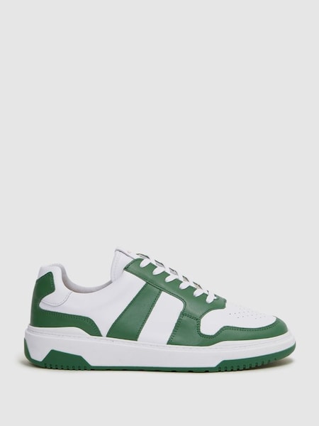 Low Top Leather Trainers in Green (D40000) | €135