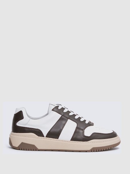 Low Top Leather Trainers in Brown (D40003) | SAR 955