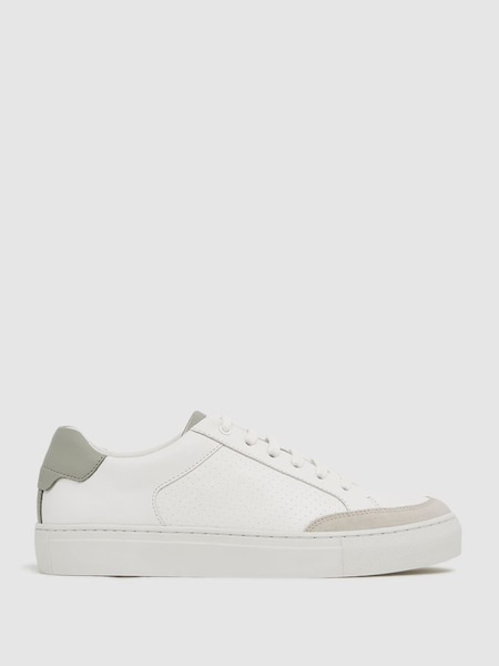 Low Top Leather Trainers in Sage/White (D57930) | €77