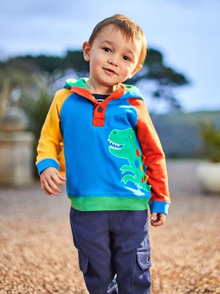 Blue Dino Appliqué Hooded Sweatshirt (Q83028) | €35.50