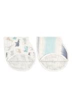 aden+anais  Silky Soft Expedition Burpy Bibs 2 Pack