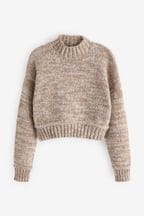 Neutral Brown Cropped High Neck Long Sleeve Jumper