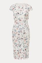 Phase Eight Cream Petite Franky Floral Lace Dress