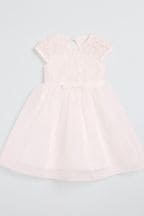 Lipsy Ivory Organza Embroidery Occasion Dress (0mths-6yrs)