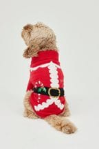 Society 8 Red Santa Christmas Jumper - Dog