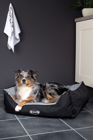 scruffs expedition box