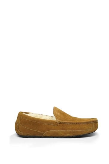 Buy UGG® Chestnut Suede Ascot Slippers 