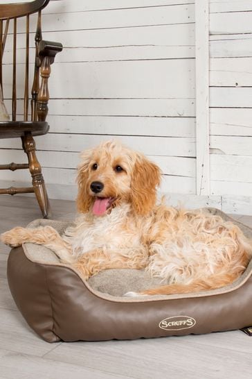 dog box bed