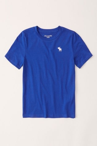 Abercrombie \u0026 Fitch Blue Basic T-Shirt 
